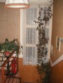 /album/foto-penzion-interier/a269623-109921682433881-1627748-n-jpg/